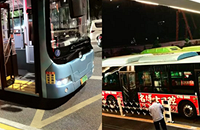 Ϊ������ڴ���³���������������ѧ������ƺ�೵