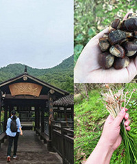 �������������ɭ�ֹ�԰����ϲ����