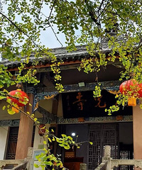 铜梁宝藏寺庙银杏参天