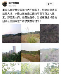 �������ԣ����ڴ���ι�԰���Ӳݴ���������������ַ���˭���̣�