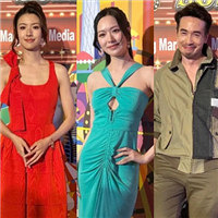 又迎来一年一度TVB巡礼