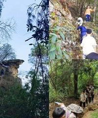 ����ͽ��5�������ɽѰ����֮ʯ