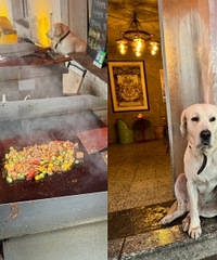 �ռҳ�����������������һ�����˹�����ûë��