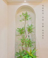 不能纵情于山野,那就把点滴绿意永固在家!