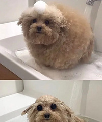 ʧȥ��­���Ĺ����������޿���������д�����޹�