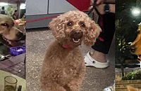 ���������������һ������ֱ������������~