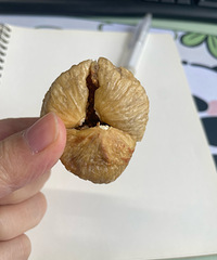 ��һ�γ���~~~ô����޻�����ҧ��ȥ������