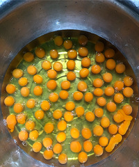 ����֥��Բ��