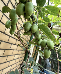 ⨺�������2����32/��