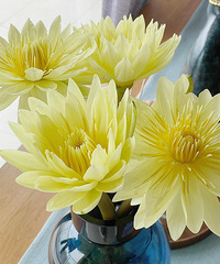 19Ԫ�����ˮ��������һ�ѣ���˵�����ܸ��Ʒ�ɫ