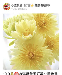 [Ư��]19Ԫ��ı������ˮ��������һ�ѣ���˵�����ܸ��Ʒ�ɫ