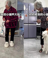 ��Ȼ��û�����������ֵĶ����������