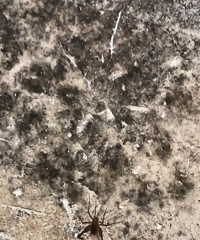 做个记录:关于我在璧山推倒老房子,修别墅这件事