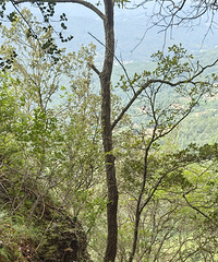 83171CM½ڹĸ飬ϣԷ