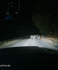 ֮У־ͬϵ˻Ҫִ˲ƣ