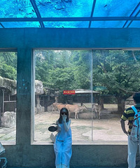 33163CMҽԺС飬ϣԷ172