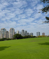 þӦȥ⣬빫԰Ȫٵŷɹŵͽ