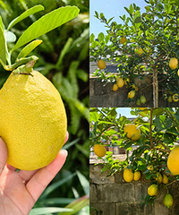 ��������ʼתɫ��Ŀ��30�������