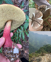 �ɽ����ͽ���ߣ��羰�û��ܼ����