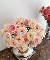 ��л������������õ���ܿ�ʮ����