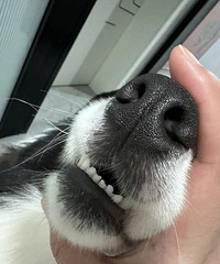 ˭����С������ͣ��������˴�yue���͹�ȥ����