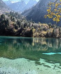 ����ͷ�Ȳա������ת��կ��