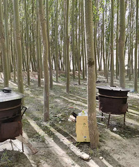 ��û����Ľ��һ�ڵģ���������ʱ��Խ�ú�Խ��