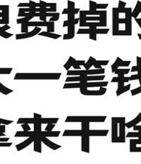 你浪费掉的最大一笔钱是拿来干啥了