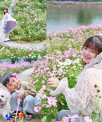 ��������Ļ���̫���ˣ���ĩ��Ҳ��