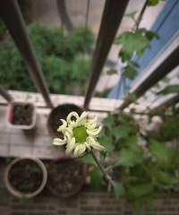 ���˼��������Ƶ�ջ��������󿪳��˵�һ��