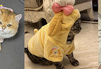 ��ʿ������ܱ����²���һ�ܣ���һ���ܺ��߳�����