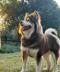 96��ҽҩ��ҵ��˫�����������飬ϣ���Է������������Ͻ���