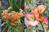 �������÷��һ��������ʰ�����˽�20���Ʒ��