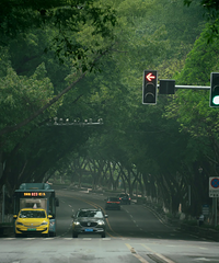 ����һ��С���ɽ�ǽ�ͷ�󲿷�ʱ���ģ��