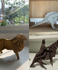 ����ֽ������������ϲ��