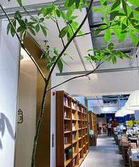 �మҪ����Ŷ���ص������ź��90��ר��������¯����Ů���ѽ~