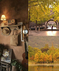 ��Ʊ����ȥ�Ͼ�����ܴ�̫����