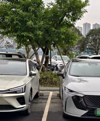 ���ϱ�·ĳͣ����������֪����ԭ������ô����ɺ�