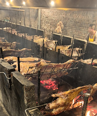 2024���һֻ�򣬲�Ҫ���������İ٣��ܳԻ���