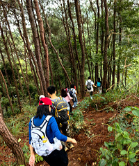 重庆主城经典爬山路线||巴南刀片岩矿坑火烧山