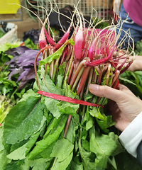 �Ͱ���ѵ����ˣ�ϴϴ���ˣ�ֱ�Ӹɵ����뷹