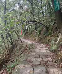 冒雨登南山12峰,花了两个周末终于把12峰爬完了