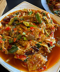 ���������������������ϲˣ����Ϻ������