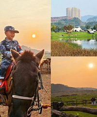 ����ĵ�һ����ĩ��ȥ����������ͣͣ