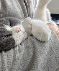 è�Ա������˾��ñ��ˣ�����ʵ�����ǵ�Ҳ������