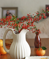 ��ĩ��ɽ��޶�˵㲻ҪǮ��С���ã���Χ������