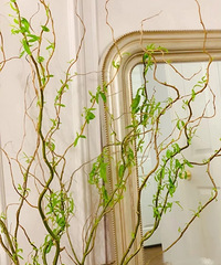 �ֵ��������ļ��ڣ�19Ԫ10֦������Ȼ��1�׸�