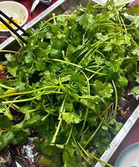 ����Դ���ϲ��