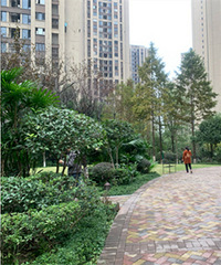 ��Ƥ��10�ַ�Դ��ʲô���ӣ�ʵ�ش�̽���׷�