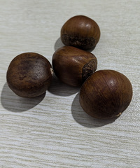 ��һ���������򳴰����������óԣ�������